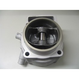 CYLINDER AND PISTON 450 EXC